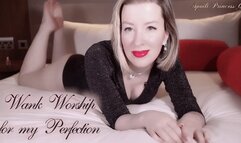 Wank Worship for my Perfection