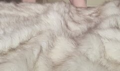 Sexy Dance and Cumming