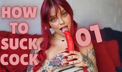 How to Suck Cock 101