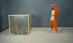 A cube for the tiger