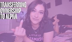Transferring Ownership To Alpha