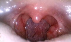 Mouth Cam - Epiphany - 1080