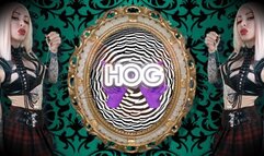 OINK OINK OINK - FAT HUMILIATING, FACE SLAPPING, BELLY PUNCHING , ASMR, SPH , JOI