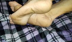 Tempest on bed with calves