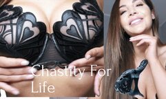 Chastity For Life HD