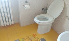 toilet clip this pee really drive me mad!