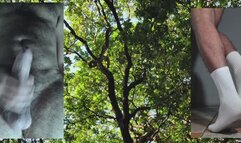 White Socks ( Series Inspiration n 1)