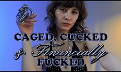 Caged, Cucked & Financially Fucked