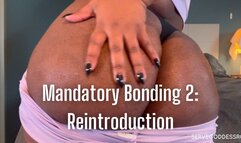 Mandatory Bonding 2: Reintroduction - Royal Ro ebony ass ignore hd mp4 1080p