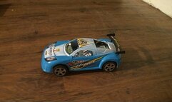 Model Car Crushing Sophie