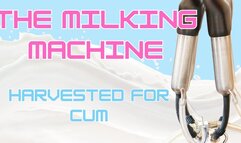 The Milking Machine