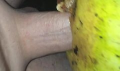 Guy fuck watermelon  in yard