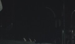 Public Swinging Wedgies