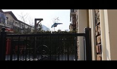 YT2707 Spring has arrived and butterflies are starting to fly wildl