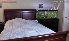 Red: Wets Bed, Diapered