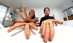 4K XINGGAN ANNA HAND VIDEO GIANTS 360VR