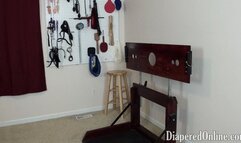 Taylor: Spanked in Pillory