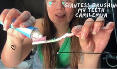 I am a giantess who brushes her teeth with her tiny, pov of a tiny inside my mouth