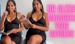 DR ALEXA MEASURE YOUR GAYNESS Counselor Encouraged Bi