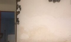 delux muscle worship