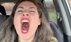 she yawns widely, and massages her ears to stay awake