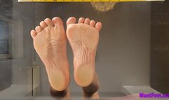 Wrinkled Soles on Glass - Soles - HD MP4