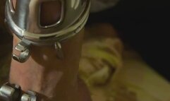 Freed from chastity, stroked, sucked, edged, DENIED release, re-caged!