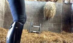 JOI & Ass Worship In The Stable