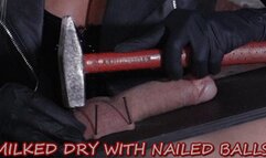 MISTRESS ISIDE - MILKED DRY WITH NAILED BALLS mobile version