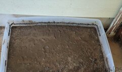 Fifi playing in a bin of mud wearing ankle strap wedge heels *NEW*