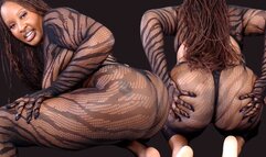 No Pleasure For white boys