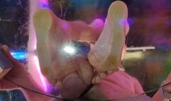 Tim Cock Trample On The Glass Table HD Up Cam