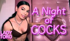 A Night of Cocks