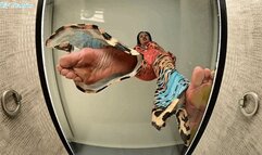 Miss Jasmine knew you were a foot pervert! Put shrinking powder in her shoes! BARE FEET CRUSH! PT 2 - MOV