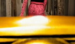 Chica Mafiosa Followed by Toilet