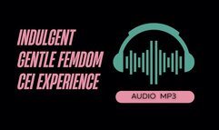 Indulgent Cum Eating Instructions Experience (Femdom CEI AUDIO MP3)