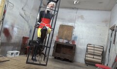 Captive Visitor Conclusion