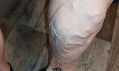 Calves and Tempest in socks