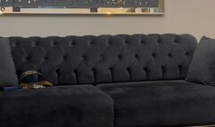 You will eat chocklate under my feet