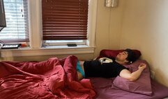 A Playful Morning with Lobo Gris & Rocky Sparks