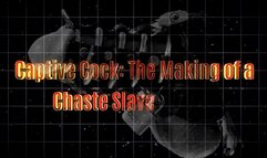 Captive Cock The Making of a Chaste Slave 18 min