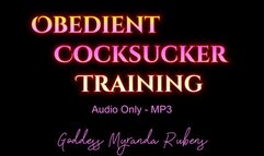 Obedient Cocksucker Training - Audio Only MP3