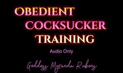 Obedient Cocksucker Training - Audio Only MP4