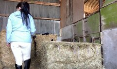 Pushed Over The Hay Bale