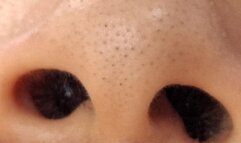 Nose: The Path to Pleasure