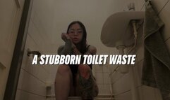 A Stubborn Toilet Waste