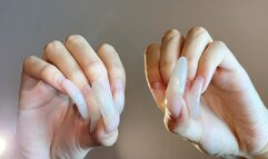 #201 - Close up clawing with long curved nails