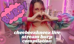 Cheebeezkneez Burps On Stream - Live Stream Compilation - Belch