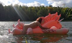 Spring Lily Unicorn on water