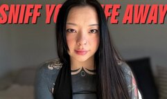 Sniff Your Life Away